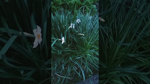 7 мая 2023 г. смотреть онлайн