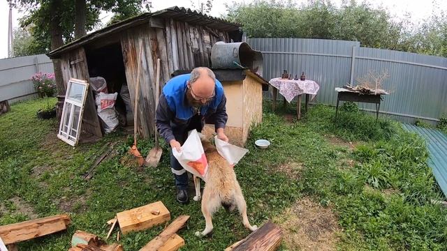 Дела в деревне ,лук ,подоконник .Взвешиваю собаку. смотреть онлайн