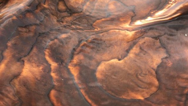 ? Развенчиваем МИФы про ДЕРЕВО Сергей Нехлюдов Каповщик и Сувельщик Волшебство керамики смотреть онлайн