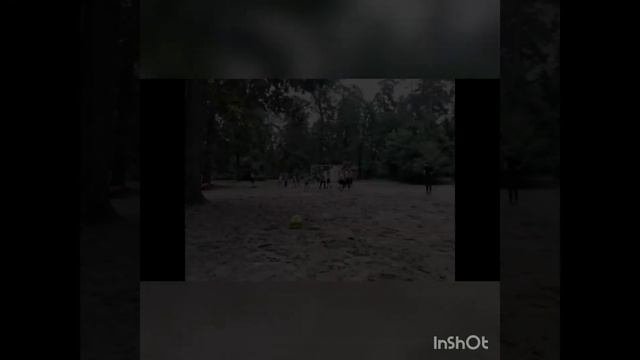 летние сборы 2019/лагерь 