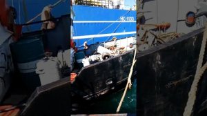 Рыбалка на Камчатке в охотском море 2020 (МРС - 225 и Василий Каленов)