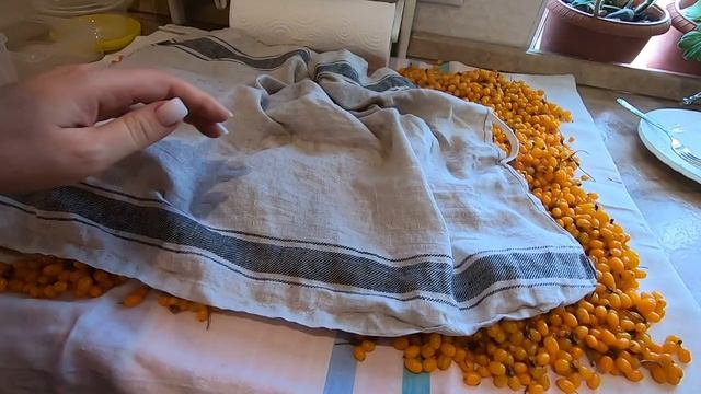 Большая заморозка сезонных продуктов на зиму! Что и как и в чем замораживаю!!! Обзор морозилки!!!