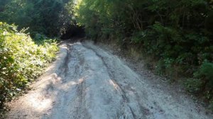 Отдых в кемпинге Назарова дача Июль 2023 год