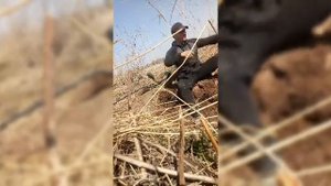 топовые находки и не выдержал реечный домкрат первое видео
