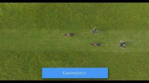 Спорт с собакой. Аджилити, ноузворк, ездовой спорт, фризби, фристайл