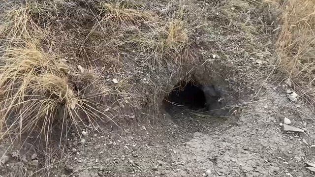 Подвальские террасы. Самарская Область. Осень. Жигулевское море. Подвалье. смотреть онлайн