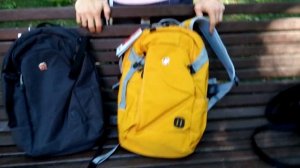 Лучший рюкзак для путешествий и ручной клади WENGER 3555247416 и WENGER 3555424416 29л Обзор