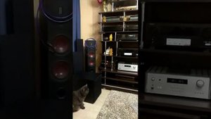 VDH Van den Hul MC SILVER IT 65