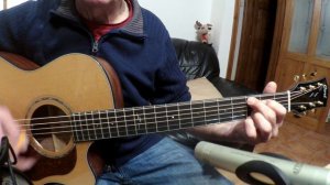 Cort Gold A6 Nat demo