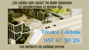 TÉCNICO LAVAVAJILLAS CÓRDOBA 957 47 30 29