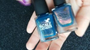 Покупки лаков для ногтей Scale Lacquer ?