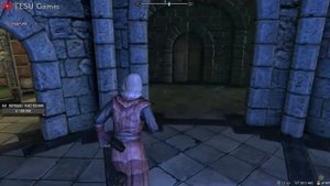 ЗАЧАРОВАНИЕ ДО 100 ЛЕГКО И БЫСТРО ГАЙД SKYRIM