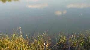 Рыбалка в Самарской области.Пруд в Хворостянском районе