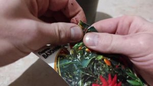 КАК ВЫРАСТИТЬ ПЕРЕЦ ИЗ СЕМЯН В ДОМАШНИХ УСЛОВИЯХ НА ПОДОКОННИКЕ. Часть 1. Посадка!