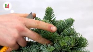 Как собрать елочку из лапника за 20 минут
