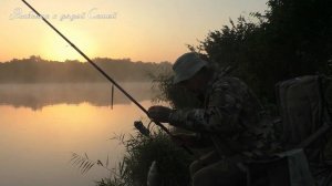 Ловля сазана после удара молнии, и грустные раки