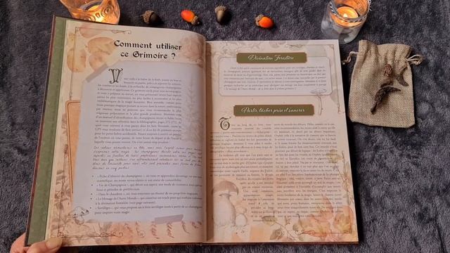 Grimoire de magie forestière de Lyra Ceoltoir aux Éditions Alliance magique ???? смотреть онлайн