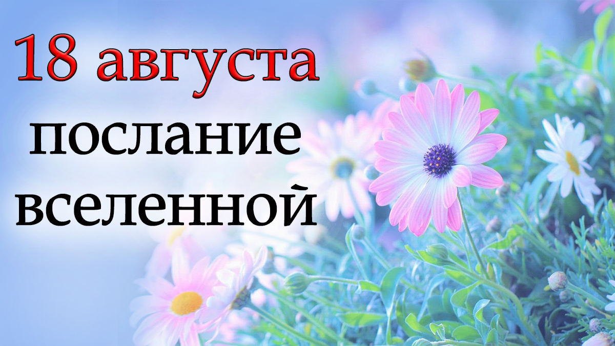 ПОСЛАНИЕ ВСЕЛЕННОЙ на 18 августа.*Эзотерика Для Тебя*
