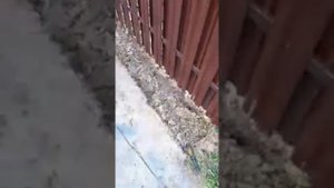 Копка поверхностного ливневой системы /Часть1/
