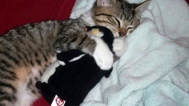 Новые песни . Красивая грустная музыка. Люблю! смотреть онлайн