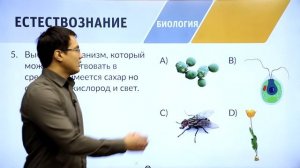 8 класс. Подготовка к II-этапу олимпиады IQanat по предмету «Биология»