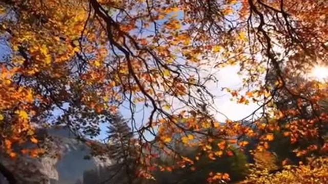 "Отговорила роща золотая", С.А.Есенин. Читает актриса Молодёжного театра Олеся Никифорова. смотреть онлайн