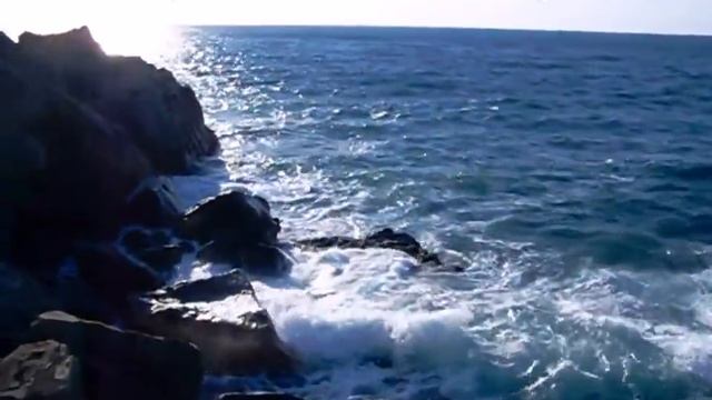 Кошка пО морю плывёт (cat floating on the sea) смотреть онлайн