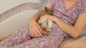 Дети любят кроликов а кролики детей ?+?= ❤