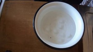 Быстрое проращивание семян.