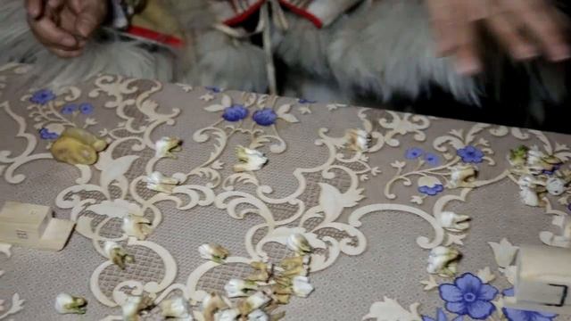 Настольные игры нганасан смотреть онлайн