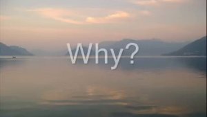 Antique - Why? (lyrics)