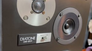 Колонки diaton ds 201