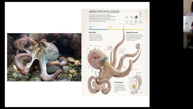 "Мир другими глазами: мозг "зеркальный" и "неверный" смотреть онлайн