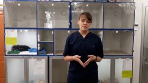 Условия проживания в гостинице