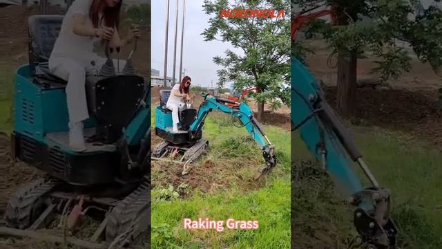 Nokonola Mini Excavator Raking Grass 2