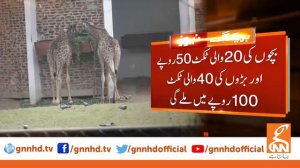 Lahore zoo ticket's price increased l 27 Dec 2020