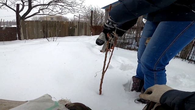 ВЛОГ. Укрываем саженцы. Метель. Юг России смотреть онлайн