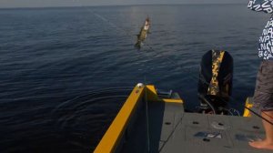 МОНСТРЫ РЫБИНКИ! ОЧЕНЬ КРУПНАЯ ЩУКА - наша цель. Петр Денисов, Андрей Чуланов. PAL 2020. 4K