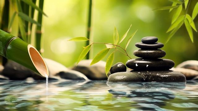 Música Relajante Piano y Música para dormir Con El Sonido De La Fuente De Agua De Bambú