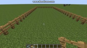 Как приручить оцелота в minecraft