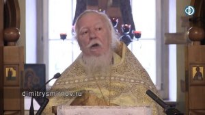 Протоиерей Димитрий Смирнов. Проповедь о миссии Христа, здоровье и соцсетях