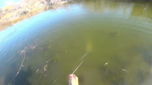 РЫБАЛКА НА КАСТИНГОВУЮ СЕТЬ.ЩУКаааа!!!Плотва,Лещ,ОкуньЁрш#рыбалка#рыбалканакастинговуюсеть