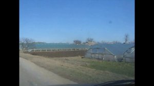 Томат в теплице. Выращивание томата в теплице. Садовое, Крым. Серия 1 - введение