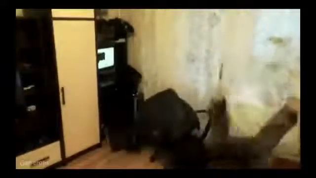 Упал со стула смотреть онлайн