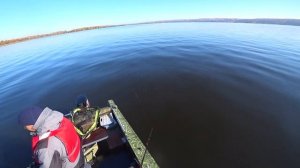 Рыбалка на джеркбейты без прикрас. Волга, Васильсурск, Джеркфест 2021. Рыбалка на Прогресс 4.