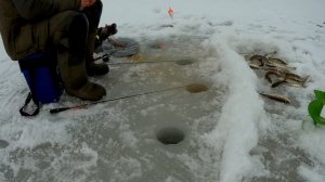 Рыбалка в бухте Мелководная.Ловим Навагу на железо и наживку,что лучше?!(часть1).