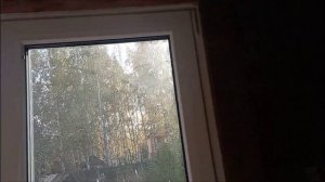 Заделываю щели между половыми досками