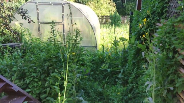 дача смотреть онлайн