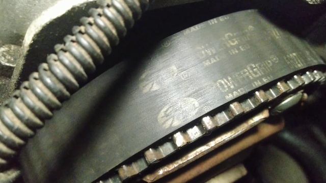 Как проверить ремень грм на пригодность на Фиат Альбеа смотреть онлайн