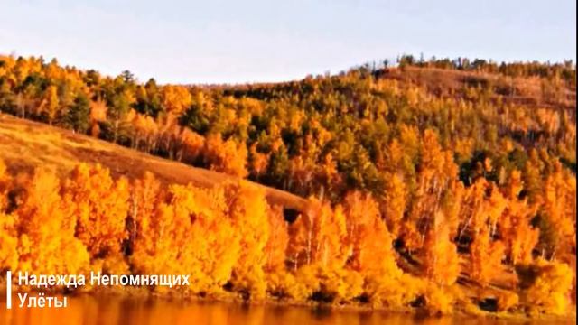 Осень - золотая волшебница